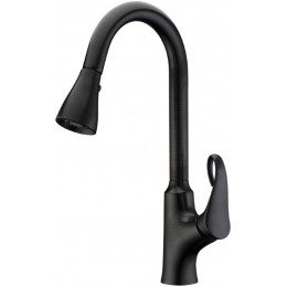 Dawn AB06 3292DBR Single Lever Pull Out Spray Kitchen Faucet