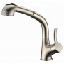 Dawn AB50 3702BN Brushed Nickel Single Lever Pull Out Spray Faucet