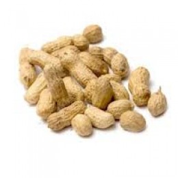Gold Medal 4133 Salted in the Shell Peanuts 36/8oz Bags