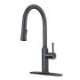 Krowne 19-400B Single Handle Kitchen Faucet with Pull-Down Sprayer Matte Black Finish