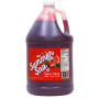 Paragon 6801 Summer Sno Snow Cone Syrup Tigers Blood 1 Gallon