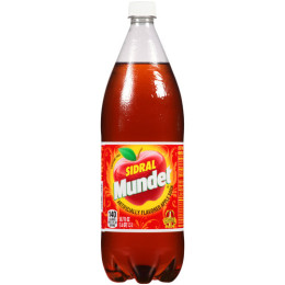 Sidral Mundet Apple Soda, 16.9 oz Each, 24 Bottles Total